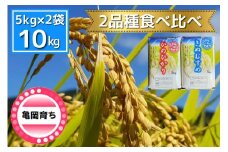 米 2品種 ヒノヒカリ・きぬむすめ 食べ比べ 5kg × 2袋 10kg 施肥技術指導員監修《米 令和5年産》SDGs未来都市亀岡
※着日指定不可