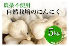 【2025年産】にんにく 5kg 京都府・亀岡産 自然栽培のかたもとオーガニックファームよりお届け ※離島への発送不可 ※2025年6月下旬～9月下旬頃に順次発送予定