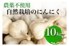 【2025年産】にんにく 10kg 京都府・亀岡産 自然栽培のかたもとオーガニックファームよりお届け ※離島への発送不可 ※2025年6月下旬～9月下旬頃に順次発送予定