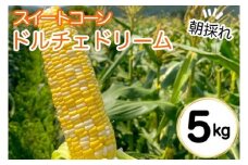 朝採れ とうもろこし 5kg スイートコーン ドルチェドリーム 甘い 早朝収穫〈アグリにのうみ〉京都 亀岡 農家直送 2025年産 ※北海道・沖縄・離島への配送不可 ※2025年6月下旬頃～7月下旬頃に順次発送予定
