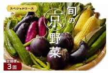 【3回定期便】旬の京野菜　毎月お届けスペシャルコース（全3回）
《野菜定期便 野菜詰め合わせ 野菜セット 京野菜 旬の野菜 新鮮野菜》