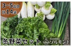 ソルモンドの 冬野菜セット！3～5品 14袋◇ ＜野菜 野菜セット 野菜詰め合わせ 旬野菜 国産 京都 減農薬 ふるさと納税野菜＞ ※北海道・沖縄・離島への配送不可