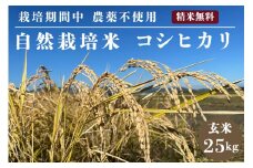 米 予約 令和7年産 自然栽培米 コシヒカリ 玄米 25kg 京都府・亀岡産 栽培期間中農薬不使用 ※離島への配送不可 ※2025年12月より順次発送予定