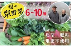 旬のこだわり 京野菜 セット 6～10種類＜ファーザーズファーム＞栽培期間中農薬不使用｜野菜 野菜詰め合わせ 野菜セット 京野菜 旬の野菜 新鮮野菜 ※北海道・沖縄・離島への配送不可