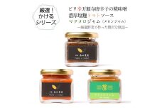 ピリ辛万願寺唐辛子の糀味噌、濃厚塩麴トマトソース、マクメロジャムのセット