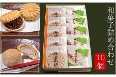 和菓子 詰め合わせ 2種 10個 丹波大納言もなか さお舟 各5個＜和菓子の朝日堂＞ ｜ 最中 もなか 饅頭 和菓子 粒あん 黄味あん ギフト スイーツ 京都 丹波 小豆 父の日 母の日 プレゼント ※離島への配送不可