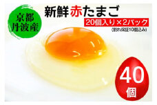 新鮮 卵 京都・丹波の赤たまご 計40個（30個+卵割れ保証10個）｜ 生卵 たまご 鶏卵 小分け 贈答 ギフト ※北海道・沖縄・離島への配送不可