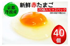 新鮮 卵 京都・丹波の赤たまご 計40個（30個+卵割れ保証10個）｜ 生卵 たまご 鶏卵 小分け 贈答 ギフト 新鮮卵卵 新鮮卵 丹波卵 赤たまご卵 鶏卵卵 生卵卵 タマゴ卵 贈答卵 ギフト卵 小分け卵 玉 タマゴ 赤玉 丹波 京都 40個 玉子 国産卵 こだわり卵 ※北海道・沖縄・離島への配送不可