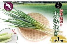 九条ねぎ 原体 根切り 3kg 京のおねぎはん ｜ 京野菜 京都府産 葱 ネギ ラーメン うどん 味噌汁 お鍋 ねぎ焼き 薬味 業務用 常備菜 産地直送 お取り寄せ 熨斗 のし 対応（名入れ不可）送料無料 西陣屋 京都府 亀岡市 ※北海道・沖縄・離島への配送不可