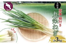 九条ねぎ 原体 根付き 3kg 京のおねぎはん ｜ 京野菜 京都府産 葱 ネギ ラーメン うどん 味噌汁 お鍋 ねぎ焼き 薬味 業務用 常備菜 産地直送 お取り寄せ 熨斗 のし 対応（名入れ不可）送料無料 西陣屋 京都府 亀岡市 ※北海道・沖縄・離島への配送不可