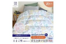 【ピンク】＜京都金桝＞【訳あり】羽毛布団 合い掛け シングル ホワイトダックダウン90％ ちょうどいい厚さ 軽量 0.8kg DP360 日本製 ≪新着 訳あり 日本製 京都亀岡産 掛け布団 掛布団 合掛け 羽毛ふとん ピンク羽毛布団 京都金桝羽毛布団 訳あり羽毛布団 合い掛け羽毛布団 シングル羽毛布団 ホワイトダックダウン羽毛布団 軽量羽毛布団 日本製羽毛布団 亀岡産羽毛布団 ≫ re06