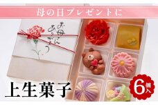母の日 プレゼント「上生菓子 6個入」｜京都 お取り寄せ グルメ ご当地 お菓子 和菓子 スイーツ 和スイーツ ギフト 贈り物 ※2025年5月9日発送予定 ※北海道・沖縄・離島への配送不可