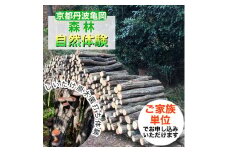 春休み 自然体験 親子でしいたけ原木菌打ち体験（家族単位）原木5本持ち帰り可 体験 森林 椎茸 日帰り ピクニック 京都 丹波 亀岡