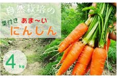 人参 4kg【期間限定】自然栽培の甘い 葉付き人参 京都府・亀岡産 かたもとオーガニックファームよりお届け 《訳あり サイズ不揃い にんじん 国産 京都産 栽培期間中農薬不使用 産地直送》 ※2025年1月～6月頃に順次発送 ※離島への発送不可 