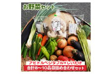 お野菜セット アビトルベジタブル+しいたけ 合計8～10品目詰め合わせセット 季節の野菜 旬の野菜 やさい 新鮮 産地直送 きのこ キノコ 産直 国産 京都 京都産 ※北海道・沖縄・離島への配送不可