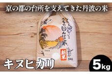 【数量限定】新米 令和6年産 キヌヒカリ 5kg 精米 コメ 送料無料 ごはん 白米 ご飯 国産 きぬひかり