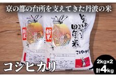 【数量限定】新米 令和6年産 コシヒカリ 2kg×2 計4kg 精米 コメ 送料無料 ごはん 白米 ご飯 国産 こしひかり
