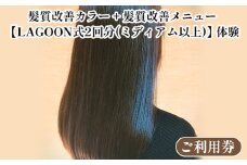 髪質改善カラー + 髪質改善メニュー【LAGOON式2回分（ミディアム以上）】《体験 ご利用券 美容 サロン 美容室 ヘアケア トレーニング ケア 美容体験 チケット》