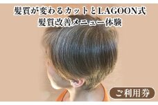 髪質が変わるカットとLAGOON式 髪質改善メニュー 《体験 ご利用券 美容 サロン 美容室 ヘアケア トレーニング ケア 美容体験 チケット》