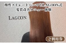 酸性ストレートパーマとLAGOON式 髪質改善メニュー 《体験 ご利用券 美容 サロン 美容室 ヘアケア トレーニング ケア 美容体験 チケット》