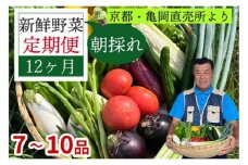 【12回定期便】朝採れ 野菜詰め合わせセット 産地直送  7～10品目 | 京都丹波 亀岡 佐伯の里 訳あり 新鮮野菜セット 旬野菜セット 訳あり野菜セット  京都野菜セット 佐伯の里野菜セット 生活応援 家計応援 12ヵ月 毎月コース / 野菜 旬 定番 野菜 定期便 野菜 定期便 やさい 定期便 野菜セット やさいセット 春野菜 夏野菜 秋野菜 冬野菜 旬 12ヶ月 12か月 12カ月 