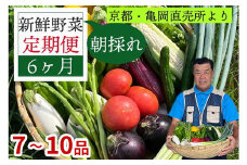 【6回定期便(2ヶ月に1回)】野菜 定期便 直送 6回 朝採れ 7～10品目 | 京都丹波 亀岡 佐伯の里 訳あり生活応援 家計応援 野菜定期便 朝採れ野菜定期 訳あり野菜定期 家計応援野菜定期 佐伯の里野菜定期 京都丹波野菜定期 亀岡野菜定期 野菜定期 6回野菜定期 2ヶ月に1回野菜定期便 野菜 定期 やさい定期  野菜定期便 やさい定期便 新鮮野菜 ※北海道・沖縄・離島への配送不可