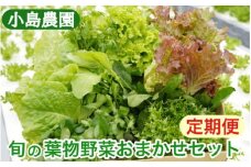 【6回定期便】野菜 詰め合わせ リーフレタス サラダ 7種 6回定期便 京都 丹波産 新鮮 旬の葉物野菜セット 小島農園《農薬不使用 京野菜 亀岡産 季節の野菜 産地直送 期間限定 ふるさと納税野菜》