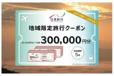 【有効期限は発行日から5年間】京都府亀岡市 日本旅行 地域限定旅行クーポン300,000円分 交通費利用可 旅行 トラベル 旅行券 宿泊券 予約 チケット ホテル 観光 おすすめ