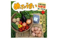＜３６９商店＞京都丹波産旬の野菜セットデラックス！平飼い卵10個、季節の果物又は加工品 ※栽培期間中農薬・化学肥料不使用※ 野菜 果物 フルーツ ケージフリー 卵 ※北海道・沖縄・離島への配送不可