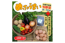 【10回定期便】＜３６９商店＞京都丹波産旬の野菜セットデラックス！平飼い卵10個、季節の果物又は加工品　※栽培期間中農薬・化学肥料不使用※ 野菜 果物 フルーツ 定期便 10回 ケージフリー 卵 ※北海道・沖縄・離島への配送不可