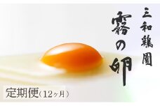 【12回定期便】新鮮 卵 120個（100個+卵割れ保証20個）(10個×12パック)京都丹波『霧の卵』三和鶏園 ≪たまご タマゴ 玉子 生卵 鶏卵 小分け 贈答 ギフト ふるさと納税 卵 直送 冷蔵 朝食 料理 人気≫ ※北海道・沖縄・離島への配送不可