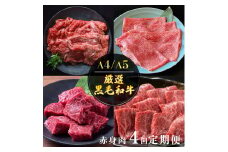 【4回定期便】京都産 黒毛和牛赤身肉 4ヶ月 お楽しみセット【計2.35kg】1回 500g～700g 和牛 専門店 ひら山 厳選 赤身 しゃぶしゃぶ すき焼き サイコロステーキ 焼肉 ステーキ 切り落とし スライス 牛肉 和牛 冷凍 丹波産 A5 A4 ふるさと納税 牛肉 定期便