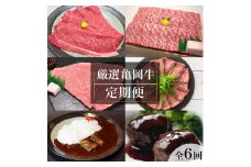 【全6回定期便】亀岡牛 定期便 亀岡牛専門店が厳選 お楽しみ 食べ比べ セット ≪冷凍 焼肉 すき焼き サーロイン ステーキ ローストビーフ 赤身 もも 肉 牛肉 国産牛 黒毛和牛 肉定期便 京都 丹波 BBQ 人気 おすすめ≫ ※離島への配送不可