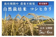 米 予約 令和7年産 定期便 6回 自然栽培米 コシヒカリ 玄米 5kg×6ヶ月 京都府・亀岡産 栽培期間中農薬不使用 ※離島への配送不可 ※2025年12月より順次発送予定