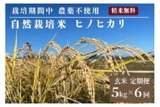 米 予約 令和7年産 定期便 6回 自然栽培米 ヒノヒカリ 玄米 5kg×6ヶ月 京都府・亀岡産 栽培期間中農薬不使用 ※離島への配送不可 ※2025年12月より順次発送予定