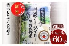 【毎月1回お届け】【定期便】予約 令和7年産 新米 京都丹波米 こしひかり10kg×6回 計60kg● 米 6ヶ月 白米 6回定期便 ※精米したてをお届け コシヒカリ 新米定期便 精米定期便 京都丹波米定期便 こしひかり米定期便 米 精米定期便 令和7年産米定期便 6ヶ月米定期便 定期購入 ※毎月1回又は2カ月に1回 ※北海道・沖縄・離島への配送不可 ※2025年9月中旬以降順次発送(初回分)