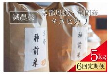 【令和7年産】新米 先行予約 5kg ×6回 京都・神前米 キヌヒカリ 5kg × 6ヶ月 計30kg ☆精米したてをお届け ※2025年9月下旬以降順次発送 ≪減農薬 自家栽培米 生産農家 直送 米 精米 クリーン白米≫