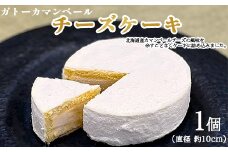 ガトーカマンベール チーズケーキ ≪スイーツ デザート お菓子 洋菓子 人気 おすすめ グルメ ギフト≫ ※離島への配送不可