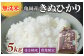亀岡そだちきぬひかり5kg【無洗米】※京都丹波産キヌヒカリ3年連続特A獲得≪お米無洗米精米したて≫