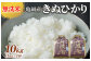亀岡そだちきぬひかり