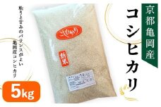 令和7年産 京都亀岡産 コシヒカリ 5kg 精米仕立て 新米 白米 精米 お米 ※2025年11月中旬～12月下旬頃に順次発送予定