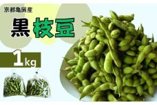 令和7年産 京都亀岡産 黒枝豆 1kg 期間限定 大粒 黒豆 お取り寄せ おつまみ えだまめ 冷蔵でお届け ※2025年9月中旬～10月下旬頃に順次発送予定 ※北海道・沖縄・離島への配送不可