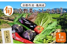 【2月発送】京都丹波・亀岡発 旬の野菜・こしひかり 詰め合わせセット● 京都丹波米 京都丹波野菜 京都丹波野菜セット 亀岡米 亀岡野菜 亀岡野菜セット こしひかり米 こしひかり野菜 こしひかり野菜セット 米 こめ コメ 野菜 やさい ベジタブル 野菜セット やさいセット 京都丹波 亀岡 旬の野菜 セット 詰め合わせ ※北海道・沖縄・離島への配送不可
