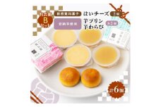 京の和スイーツ計6ヶ(はいチーズ・芋プリン・芋わらび)新感覚!?和菓子 コーヒー・紅茶のおともに【1117112】