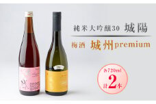 城陽酒造　＜日本酒・梅酒セット＞【1117656】