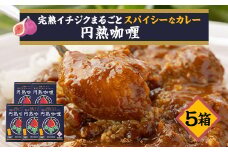 京都府城陽産　イチジクが丸ごと入った　スパイシーなカレー　5箱×1セット【1136496】