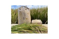 循環農法で育てたヒノヒカリ　玄米10キロ　栽培期間中農薬・化学肥料不使用【1351736】