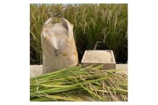循環農法で育てたヒノヒカリ　玄米5キロ　栽培期間中農薬・化学肥料不使用　【1458355】