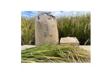 循環農法で育てたヒノヒカリ　玄米10キロ　栽培期間中農薬・化学肥料不使用　【1458356】