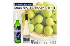 京都青谷梅わいん飲み比べセット【1538836】